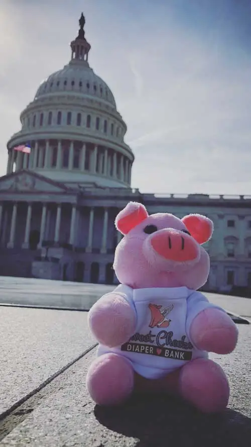 Our mascot Morty at our nations capital, DC!