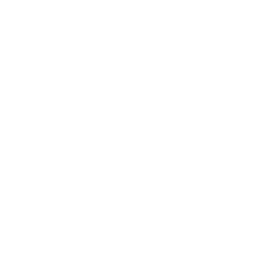 Fly and Dry logo in white with mascot.